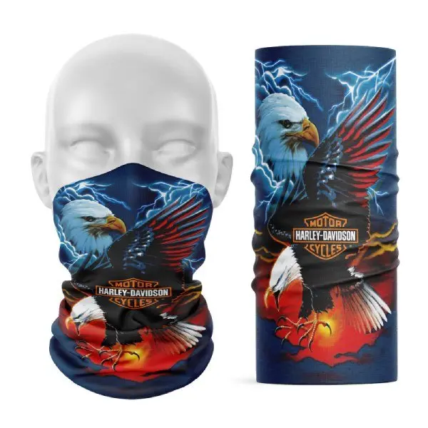 Cache cou moto - Eagle