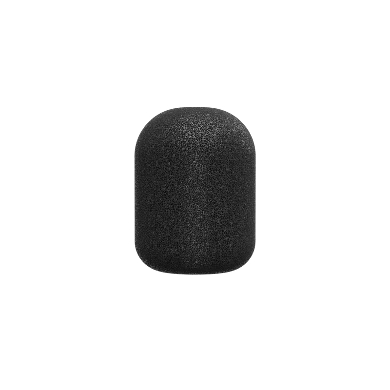 Packtalk Outdoor Sponge for Student Microphone