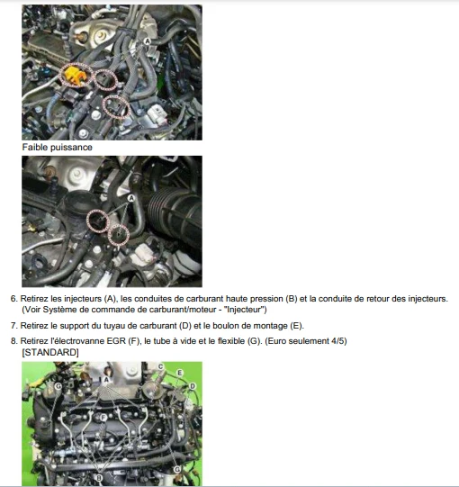 Manuel d'atelier Hyundai Santa Fe crdi 2000 2006 français