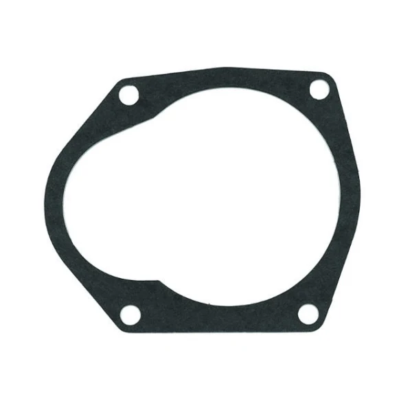 Sierra Water Pump Gasket 18-0345 (776060)