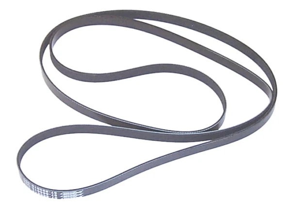 Sierra Marine Belt, Serpentine (774656)