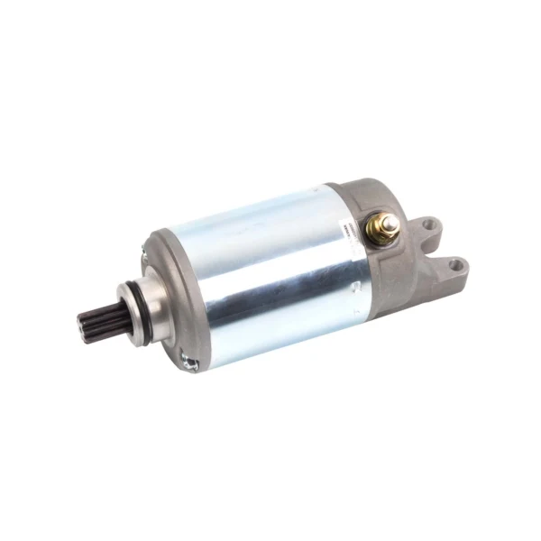 Arrowhead Starter (207474)