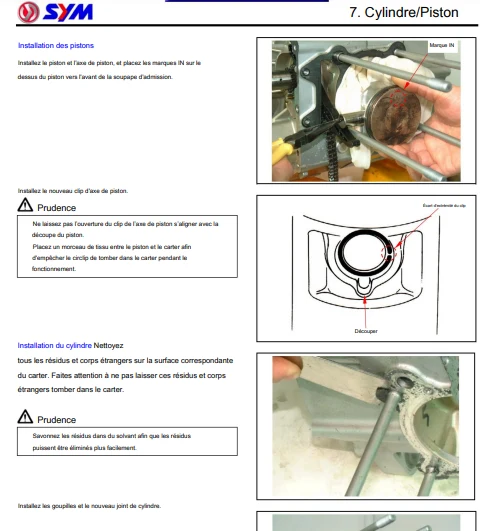 Manuel d'atelier Sym Citycom 300i français