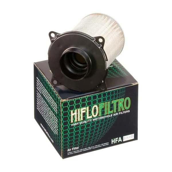 Hiflofiltro OE Replacement Air Filter (HFA3803)