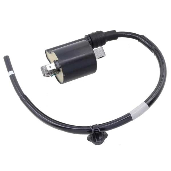 Bronco Ignition Coil (AT-01922)