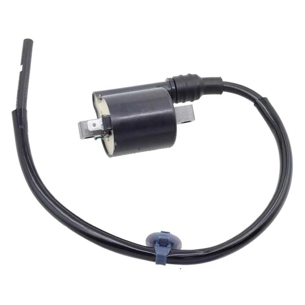Bronco Ignition Coil (AT-01921)