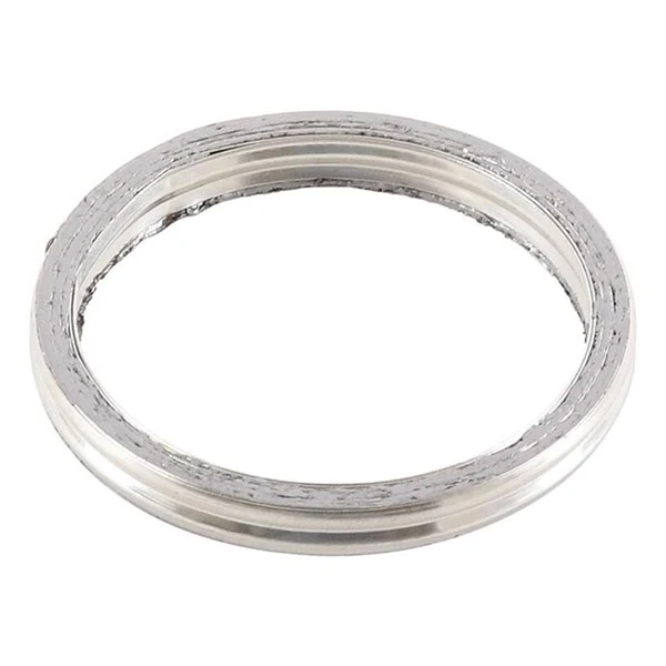 Vertex Exhaust Gasket Kit (823070)