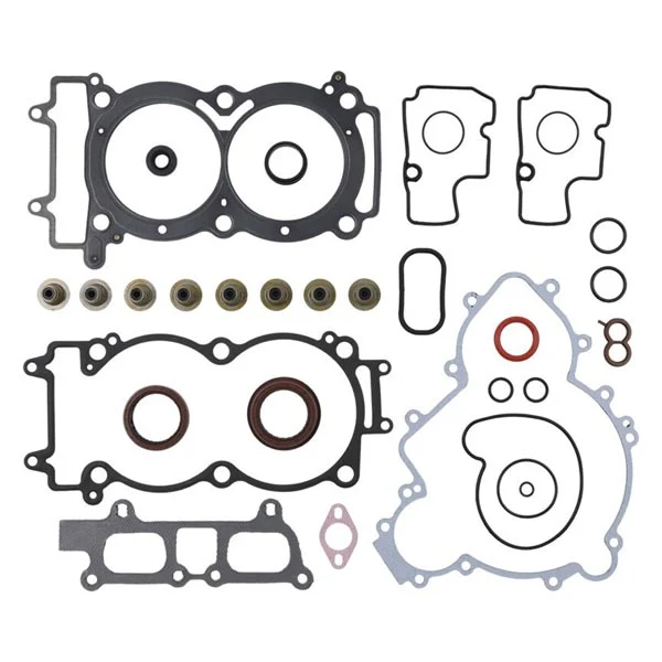 Complete Gasket Kit W Seals (8110077)