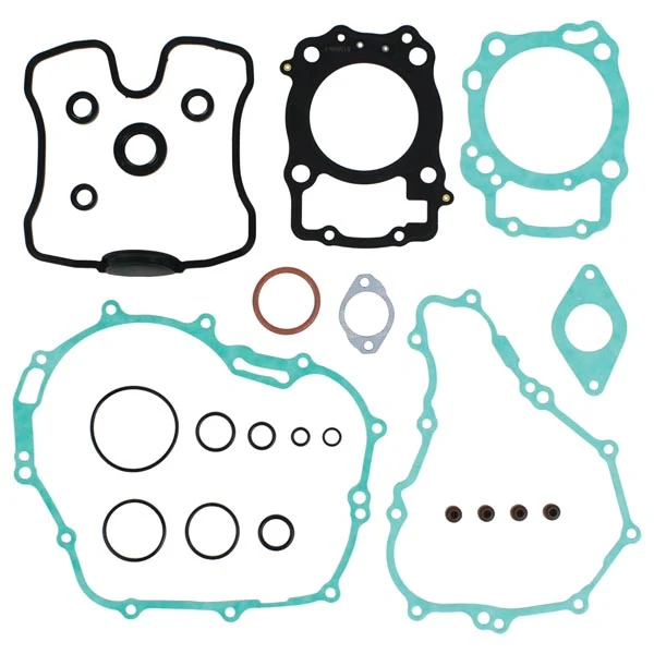 Vertex Gasket Set & Oil Seals (8110042)