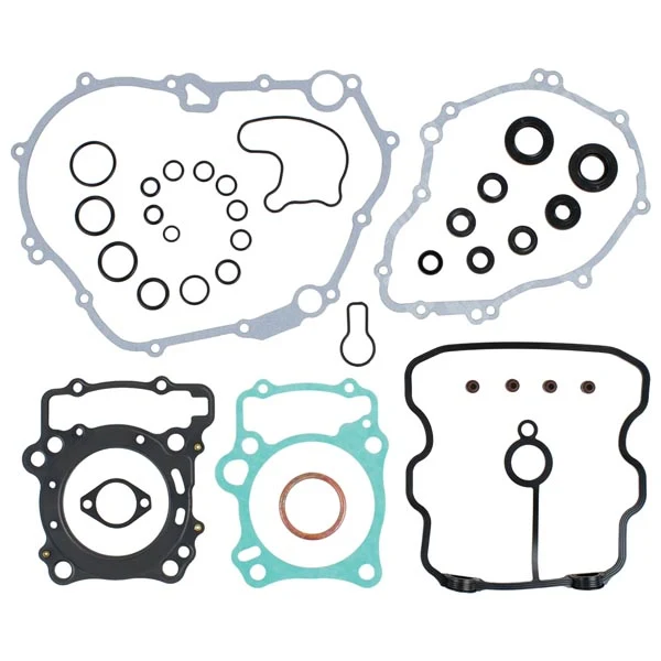 Vertex Gasket Set & Oil Seals (8110036)