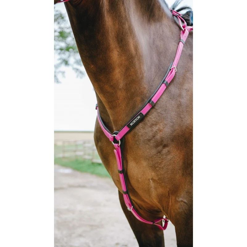 Collier de chasse Endurance NORTON - Pop - 4 coloris