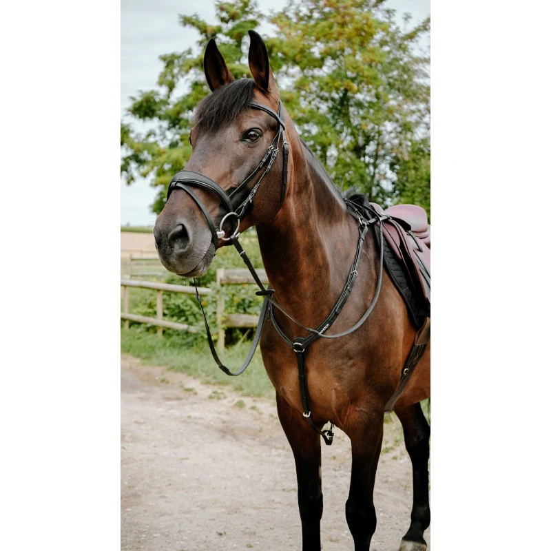 Bridon endurance NORTON - Pop - 4 coloris - 2 tailles