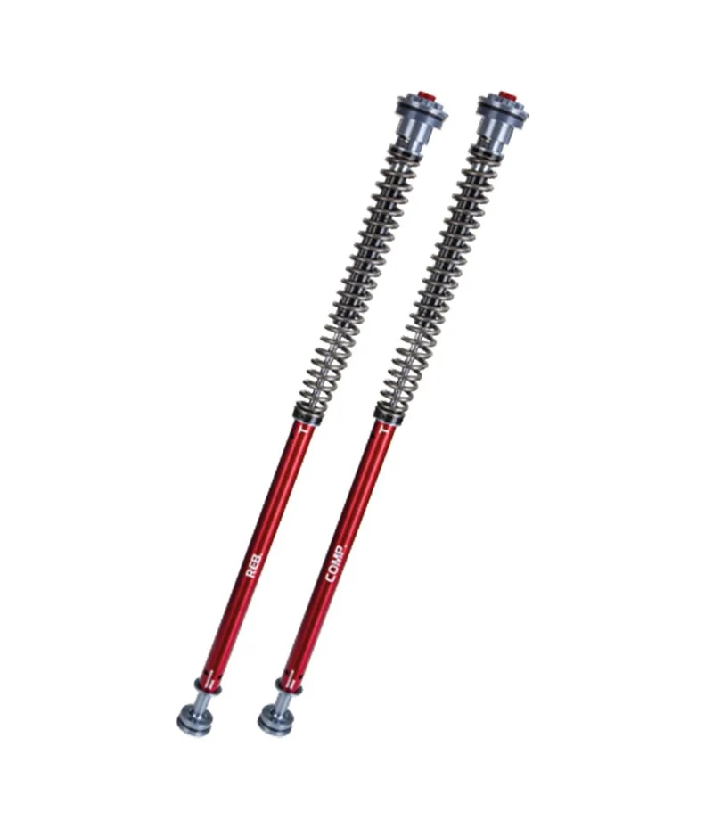 Cartucce Forcella Regolabili per ShotGun 650 - YSS