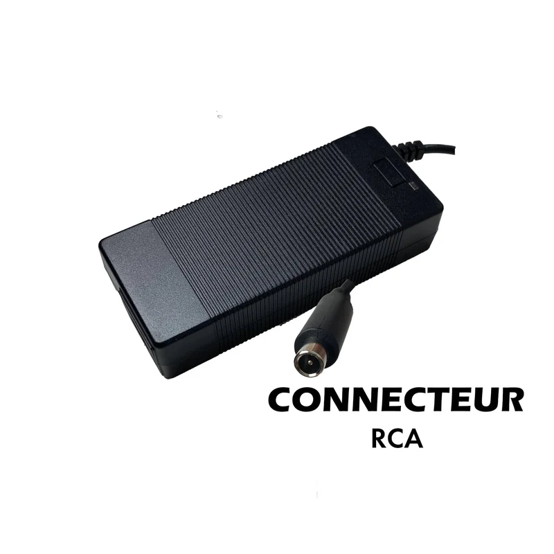 CHARGEUR XIAOMI M365 & M365 PRO (CE)