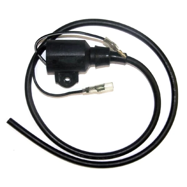 WSM Ignition Coil (796157)