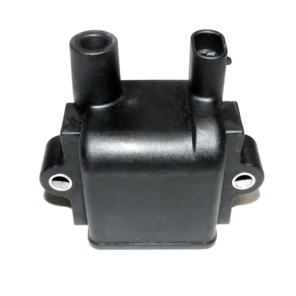 WSM Ignition Coil (796149)