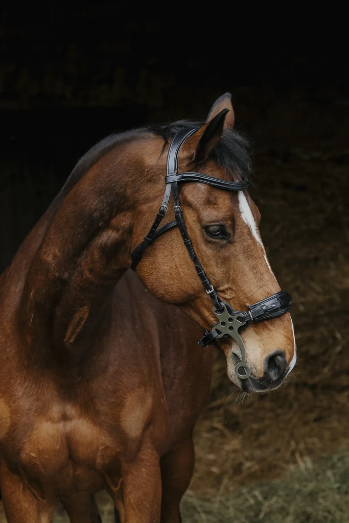 BRIDON NORTON PRO - HACKAMORE