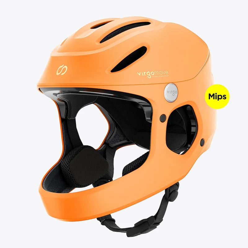 Virgo Access Mips / Edition 2026
