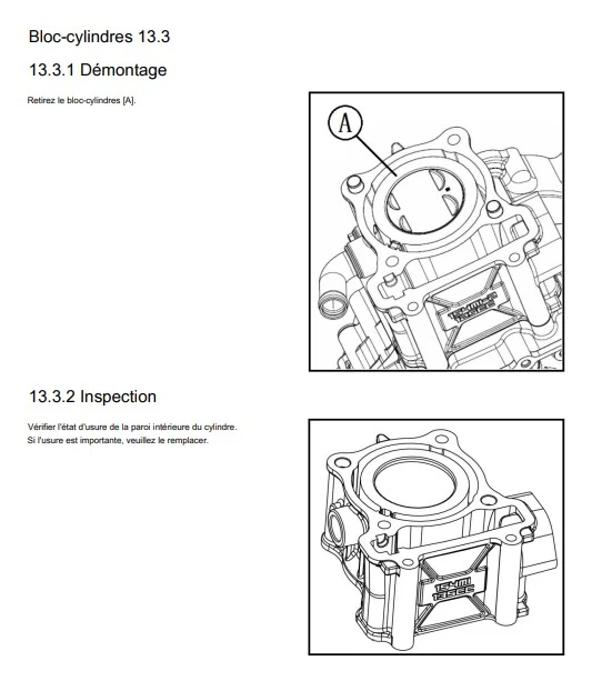 Manuel d'atelier QJMotor SRK 125R français