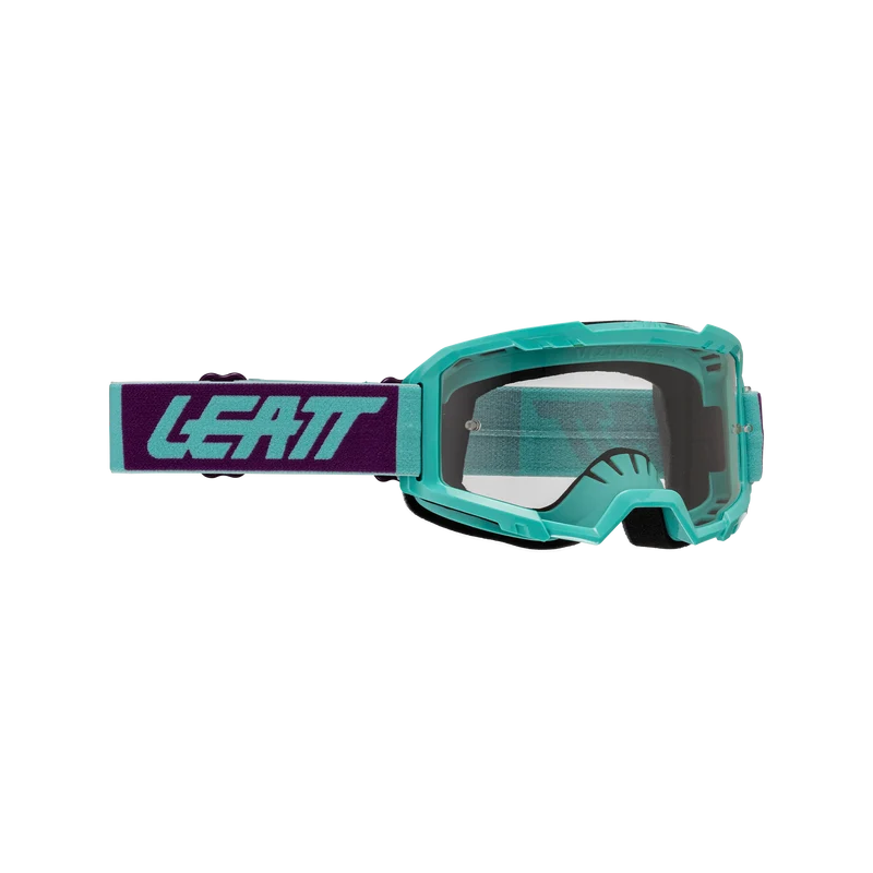 Goggle Vizion 2.5