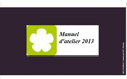 Manuel d'atelier Mia electric 2013