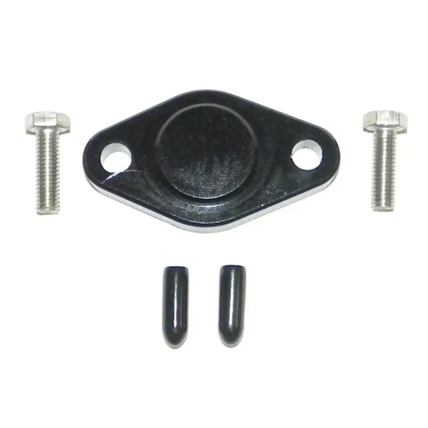 WSM Oil Injection Block Off Plate (798663)