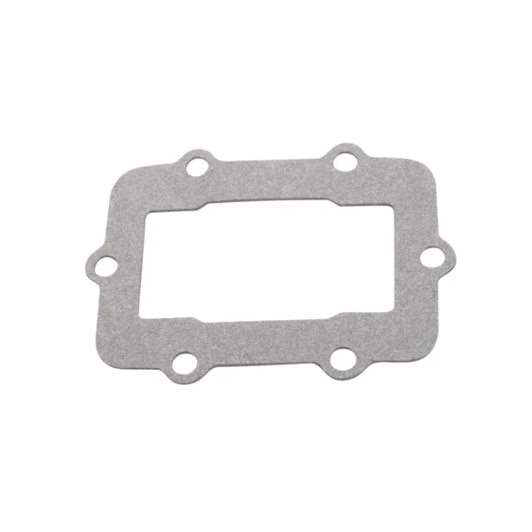 VertexWinderosa Admission Reed Gasket (301674)
