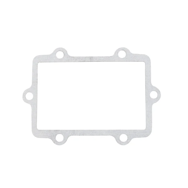 VertexWinderosa Admission Reed Gasket (301671)