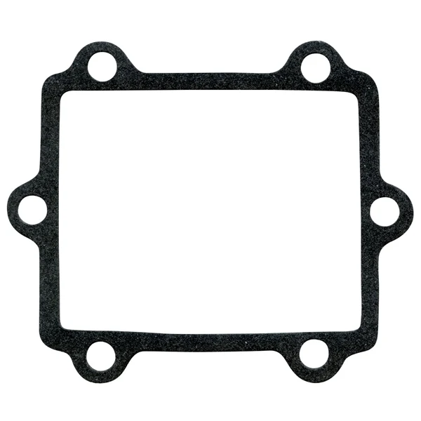 VertexWinderosa Admission Reed Gasket (301670)