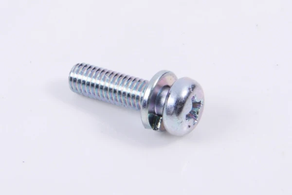 Mikuni Carburetor Bowl Screw (301283)