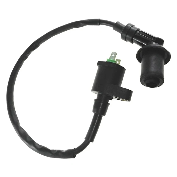 Outside Distributing External Ignition Coil (217122)