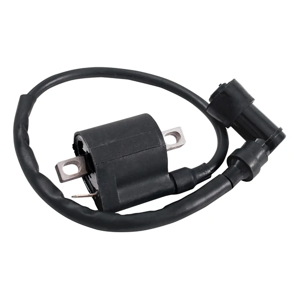 Outside Distributing External Ignition Coil (217121)