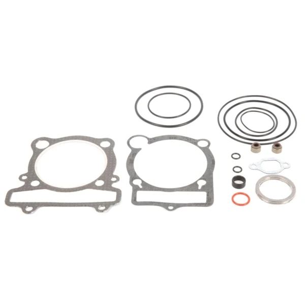 VertexWinderosa Top End Gasket (059313)